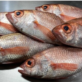 We also have seasonal fresh fish available ◎Please let us know your requests.