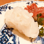 小松 弥助 - アカイカ