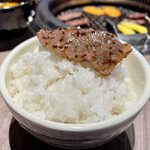 焼肉 桜咲 - on theライス