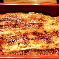 新宿 うなぎ菊川 - 