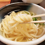 Menkuishubou Daishin Udon - 冷たいので弾力強め。