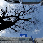 パンダ レストラン - 天気もgood !