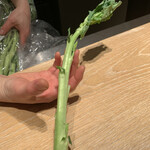 マンサルヴァ - 