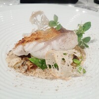 ジョンティ アッシュ - 