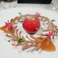 ジョンティ アッシュ - 