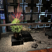 博多もつ鍋 やま中 赤坂店 - 