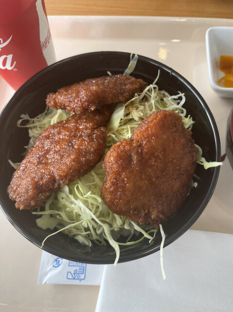 猪苗代スキー場 - 猪苗代（その他）の写真