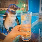 ペンギンのいるダイニングバー沖縄 - 