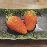 温石 - あきひめ