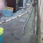 野沢屋 - にゃんこ達が...