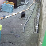 野沢屋 - すばやくTURN!