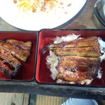 野沢屋 - 上うな重