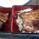 野沢屋 本店 - 上うな重(ご飯少なめ)