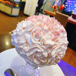 慈げん - 白昼の月に桜