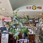 喰い物屋 KOTETSU - 観葉植物があちらこちらに