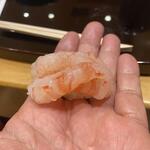 小松 弥助 - 甘海老