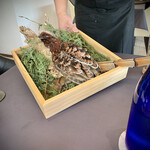 プレゼンテ スギ - 