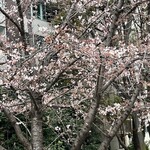 立ち飲み居酒屋ラクミ - 近くの公園