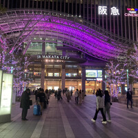 博多もつ鍋 やま中 博多店 - 