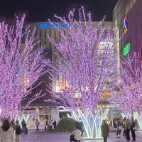 博多もつ鍋 やま中 博多店 - 