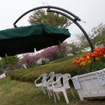 自然食レストラン ティルズ - 園内