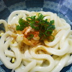 みなみ製麺 - 2013.04　オーソドックスな伊勢うどん