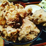 Karaage Hitosuji - 