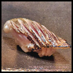 渋谷 鮨 まつもと - 