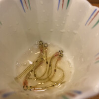 菊鮨 - 