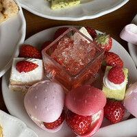 XEX TOKYO / Salvatore Cuomo Bros. - 