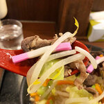 Ramen Iwamotoya - 具材は、豚肉・もやし・キャベツ・にんじん・きくらげ・かまぼこ。
                      長崎ちゃんぽんをイメージしているのかな？具材もたっぷりと入っているので、こちらも食べ応えあり。