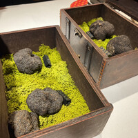 マルゴット エ バッチャーレ - 