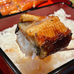 Unagi No Wakabayashi - 