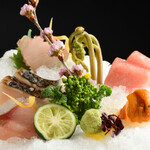 Sushi Tampei - 造里盛り合わせ