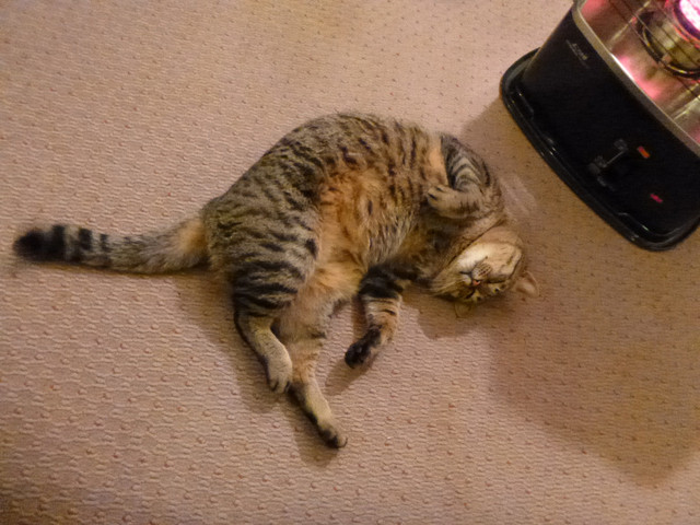 松田屋旅館（まつだやりょかん） - 花巻市その他（旅館・民宿）の写真