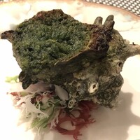 ペルゴーラ - 