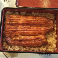 鰻割烹 伊豆栄 本店 - 