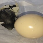 旅行人山荘 - 硫黄の香りと黄色に色づいてます。