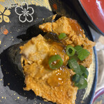 回転寿司 北海道四季彩亭 - 