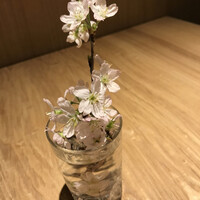 ガストロノミーソール ヤナギヤ - 