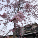 祇園 いわさ起 - 