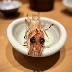 小笹寿し - 車海老 頭塩焼き