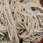 Hakone Soba Honjin - 麺アップ