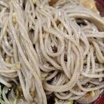 箱根そば本陣 - 麺アップ