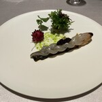 ASAHINA Gastronome - サヨリ＆葉玉ねぎ　シェリーヴィネガーでマリネ　ミントの香る自家製ヨーグルトのソース