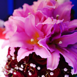 サロンドタマラド - 