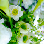 サロンドタマラド - 