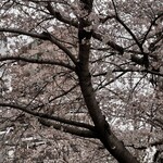 朝めし酒場 ナニコレ食堂 - 