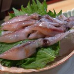 葵 - ホタルイカの造り