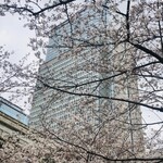Nihombashi Isesada - 桜とマンダリンオリエンタル